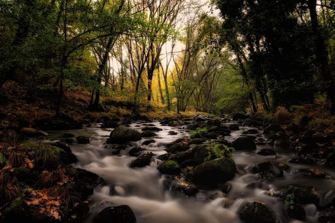 Hostel El Lago, Caceres جاريز دي لا فيرا المظهر الخارجي الصورة